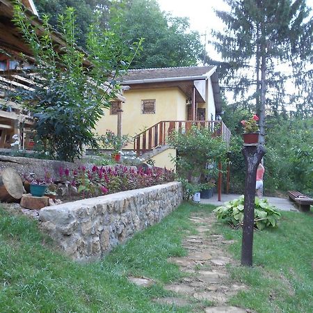 Apartments Borove Noci Vrdnik Exterior foto