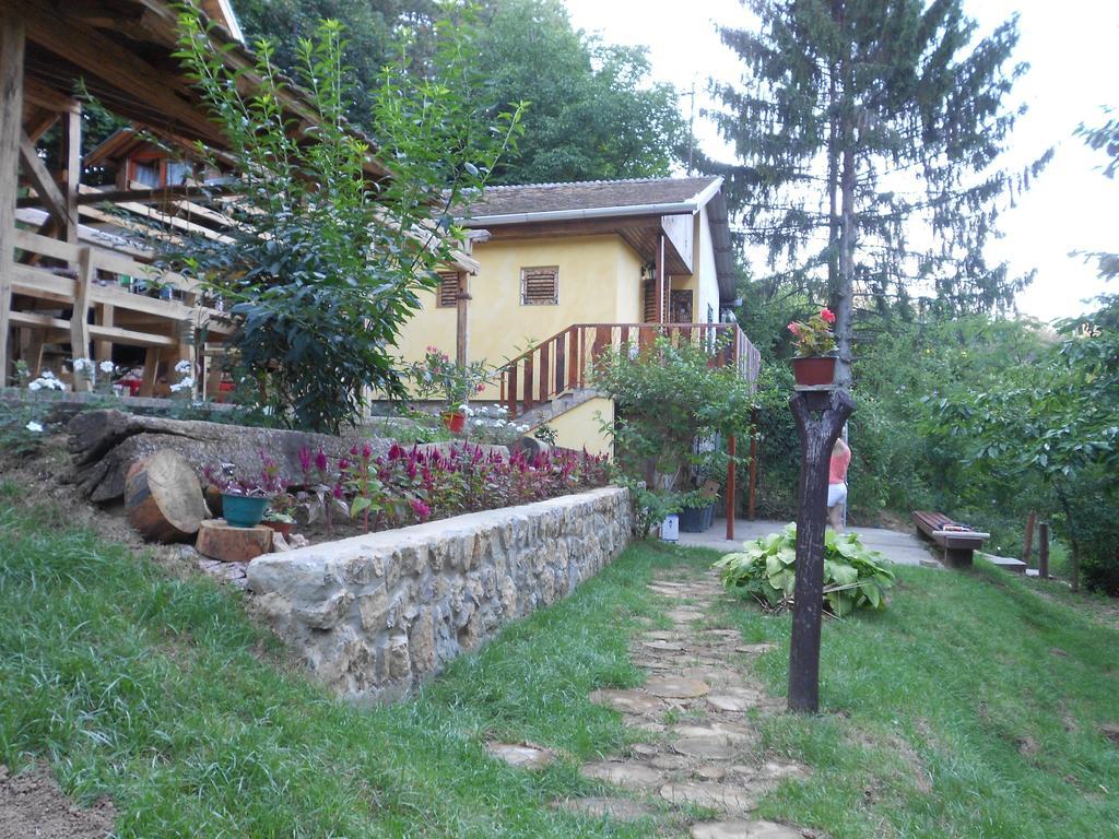 Apartments Borove Noci Vrdnik Exterior foto